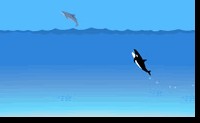 Dolphin Hunt