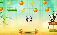 Panda Bounce